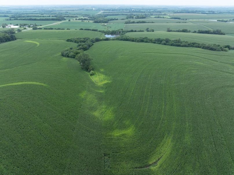 Copy of DJI_20250720134613_0080_D