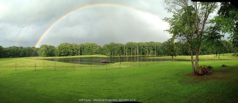 Hinds Co - 39.98 - M Beasley-5