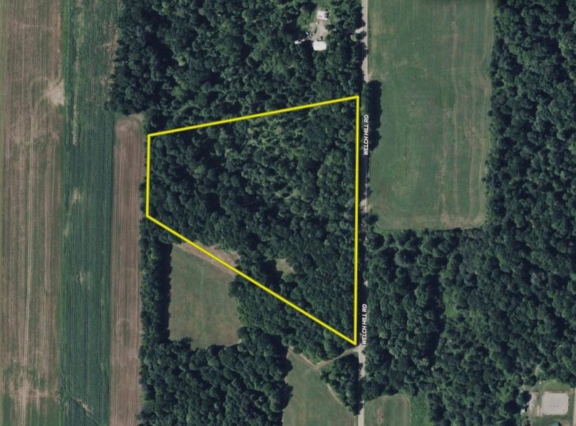 Screen Shot 2026-02-04 at 2.10.57 PM