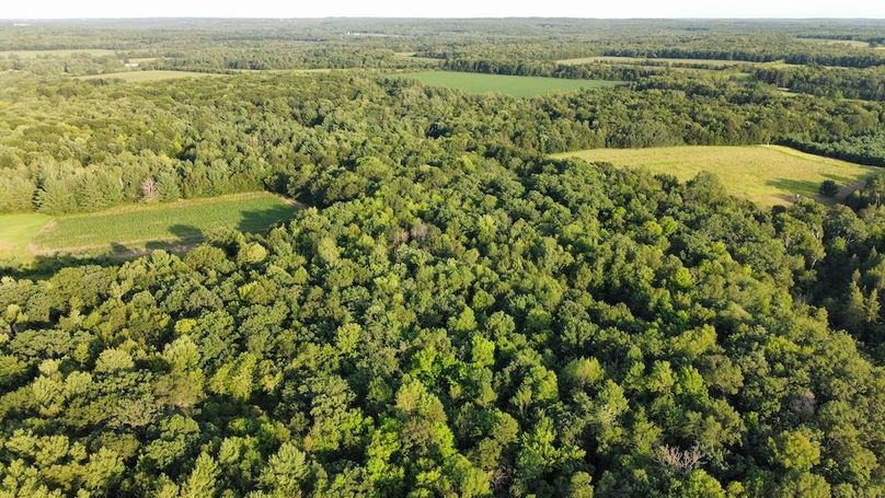 dji_fly_20240811_190046_725_1723420855941_photo_optimized