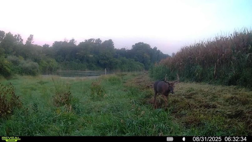 016579006920529-100-4-08312025063234-SYFW00133