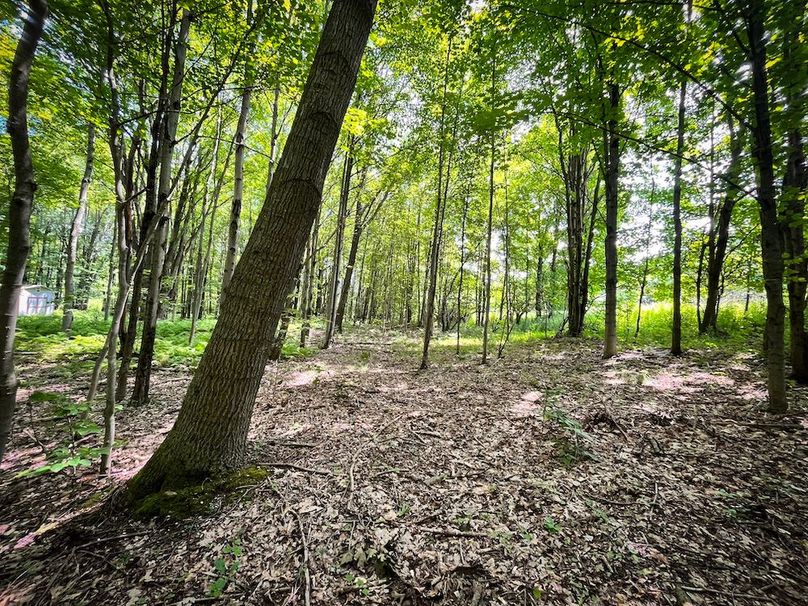 Oswego_21.25-Paro_Photos_48