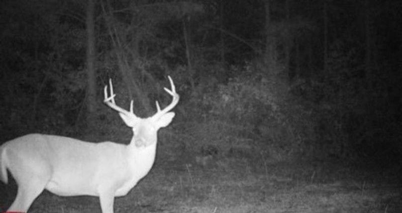 IMG_20240403_011350 (1)