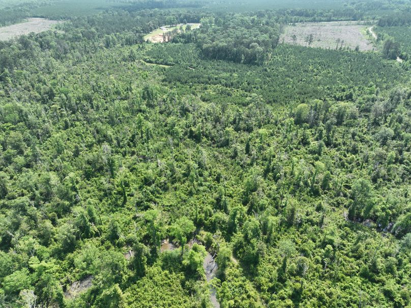 dji_fly_20230516_110010_112_1684333481868_photo