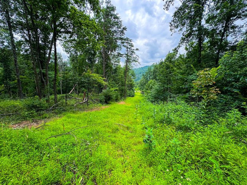 Tyler, WV 46 Lemasters -18