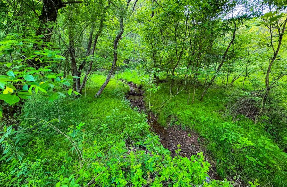 Wirt, WV 145.69 AC 273 Wildflower-03