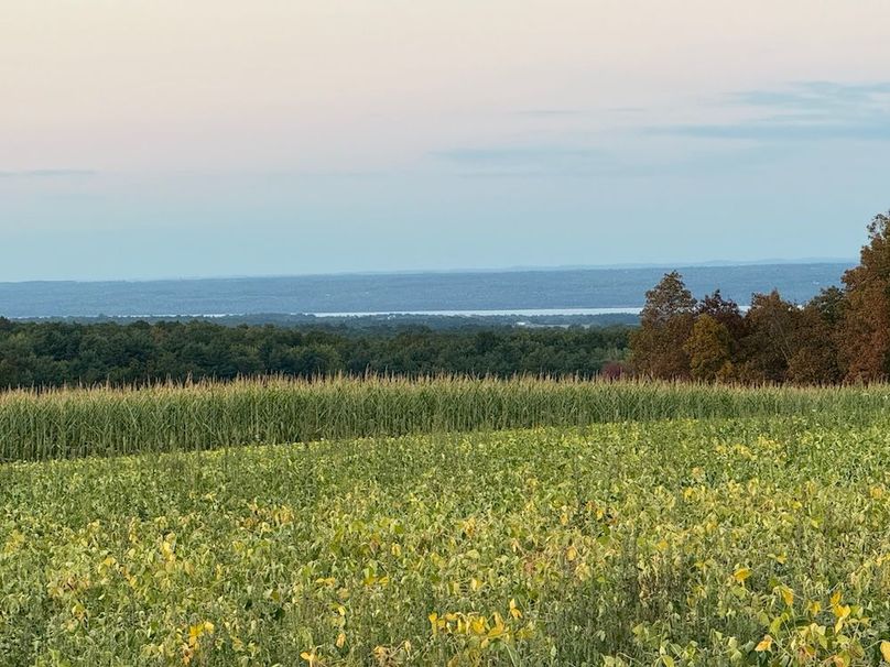 Copy of Wood Tract 1 Photo 4