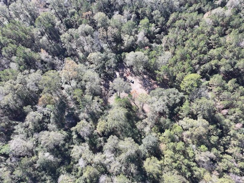 dji_fly_20251209_121852_0761_1765308500008_photo