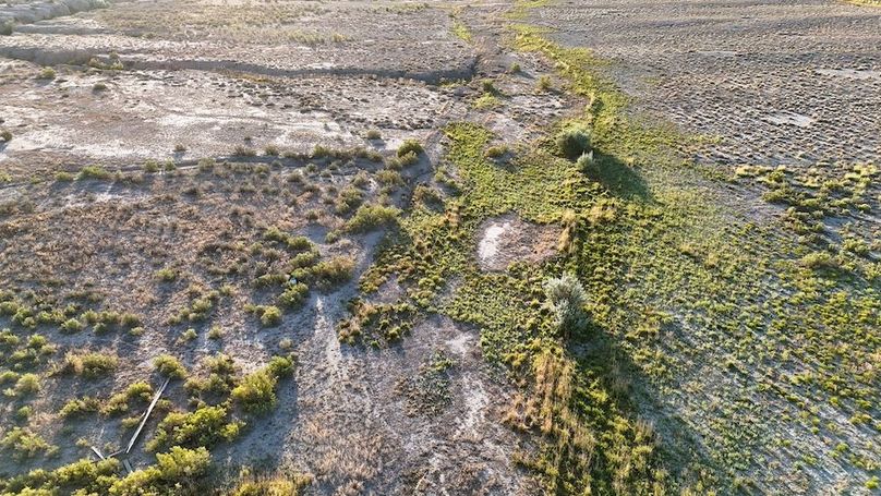 DJI_20240810072541_0150_D