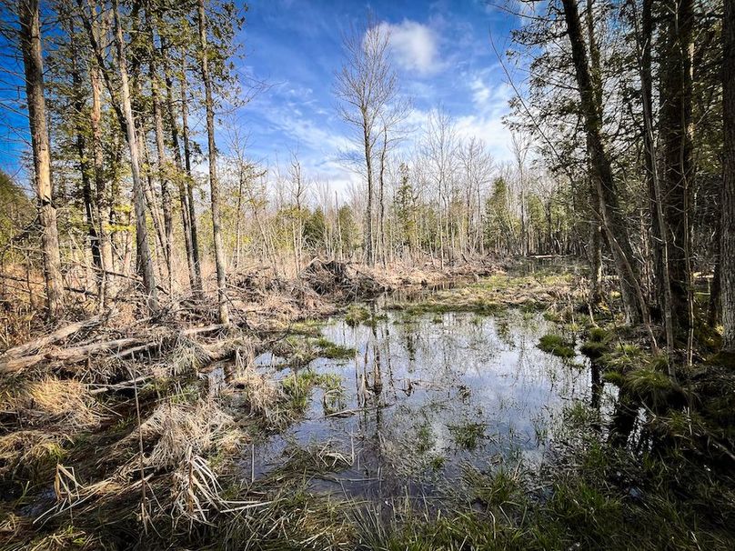 StLawrence_142.7_Bosse_Photos_36