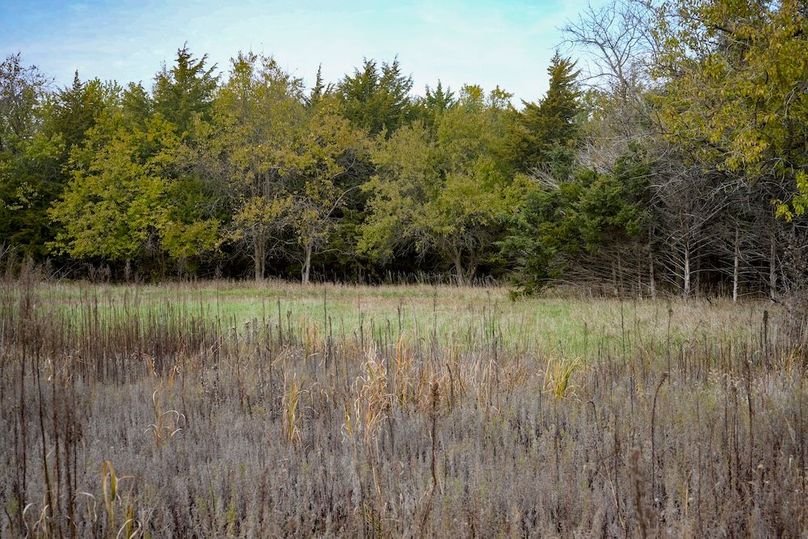 Dickinson Co, 154.5_013