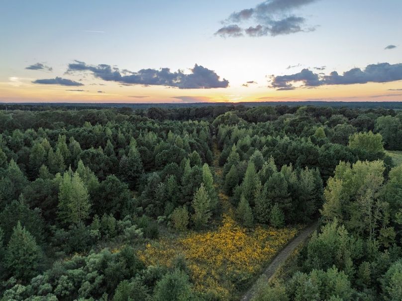 12 Edited Harison co. 206 - Ed Robb-050