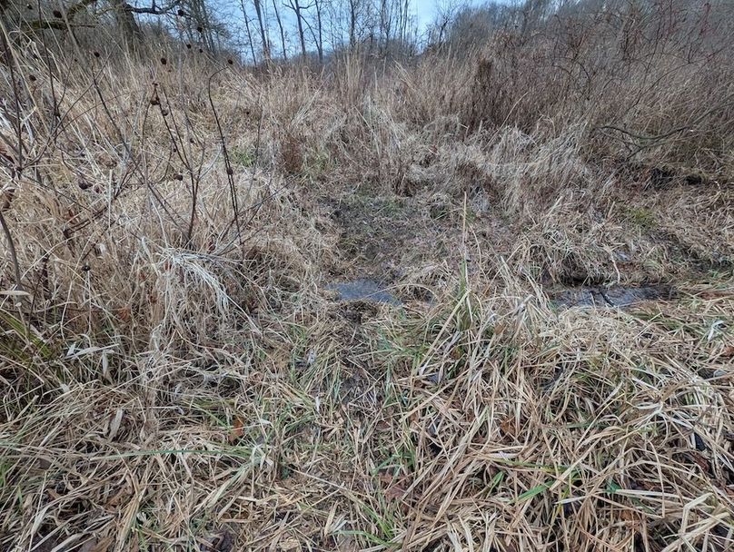 PXL_20260107_184254314.MP