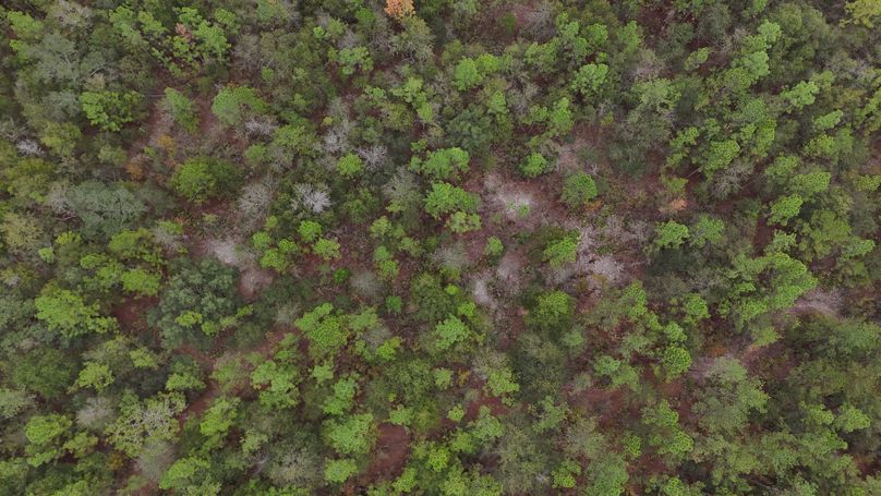 DJI_20231117115816_0025_D