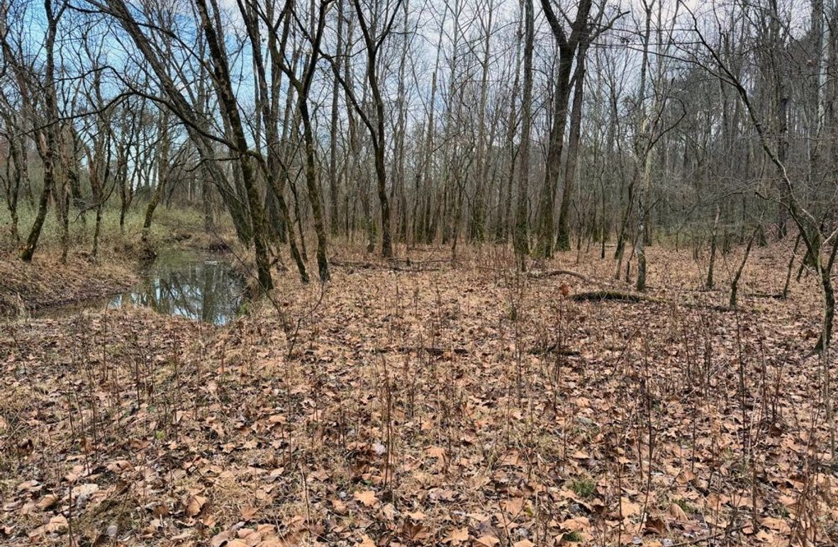 001 beautiful creek bottom near the property entrance-2