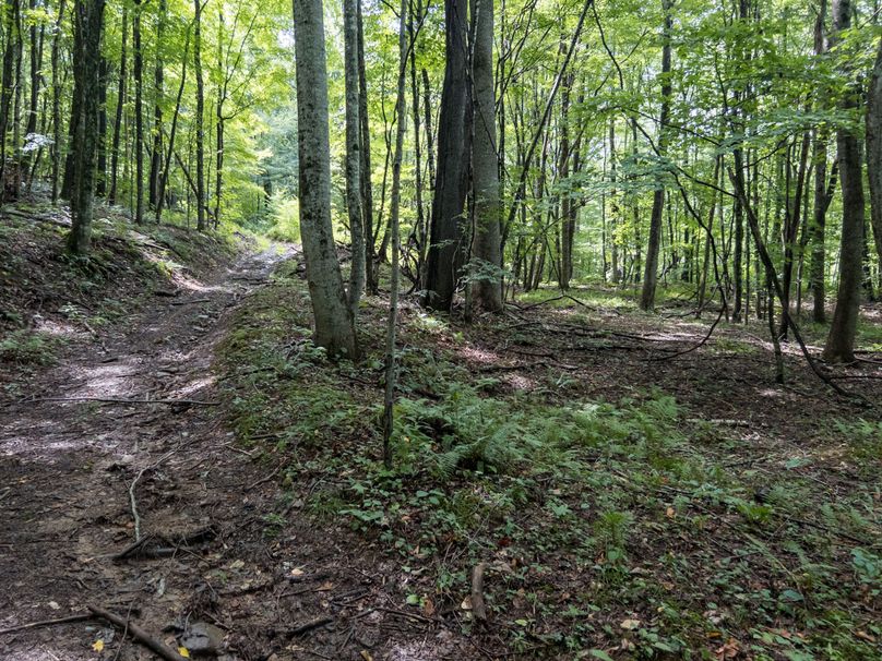 12_36.85_Pocahontas_WV