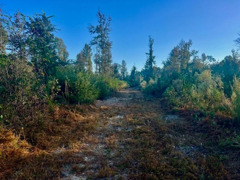 A443B09E-37CC-495C-BDB2-C7218791B8BA_1_105_c