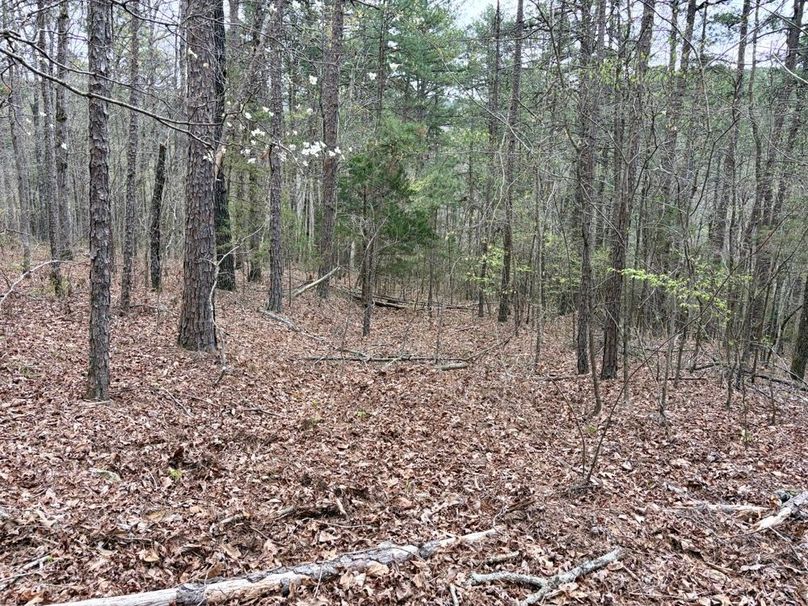 EE0BD067-F055-48E4-A6FE-2DD492D505D0_1_201_a