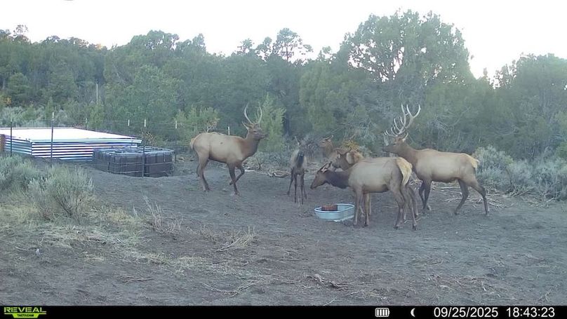 016578004060205-100-3-09252025184323-V-SYFW00365