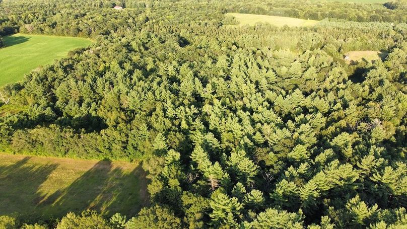 dji_fly_20240811_185724_719_1723420653162_photo_optimized