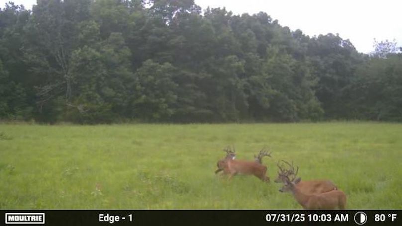 Temp_2017838-20250731150419-100MFCAM_MFDC2170