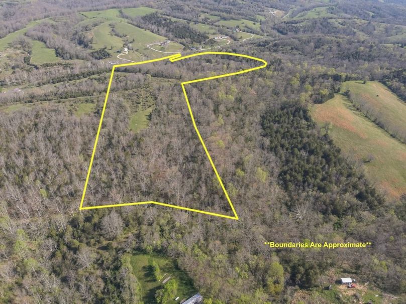 11-DJI_20260412101344_0009_WL