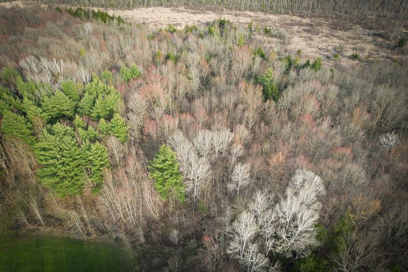 StLawrence_142.7_Bosse_Photos_43