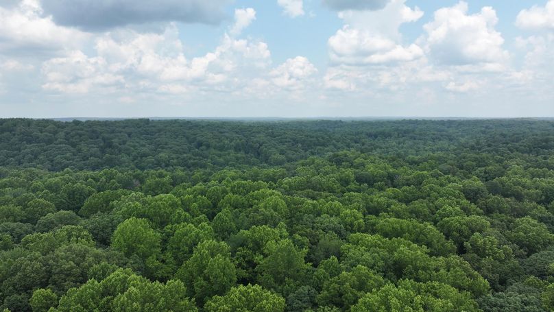 dji_fly_20240711_133540_0230_1720719603526_photo