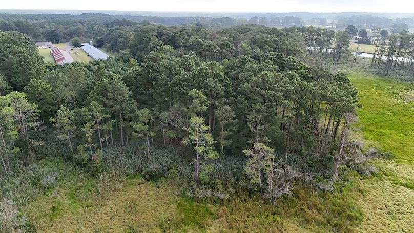 IMG10_58AC_dji_fly_20250811_083954_0014_1754945054258_photo