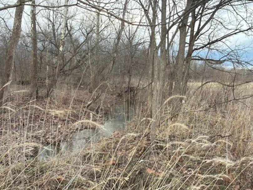 B253822B-2EB3-4A9D-BF86-CC8F029F1A6D_4_5005_c