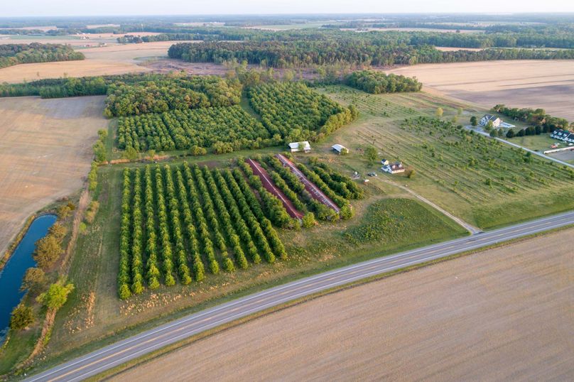 50.38ac_BethlehemRd_Caroline_AERIAL_001