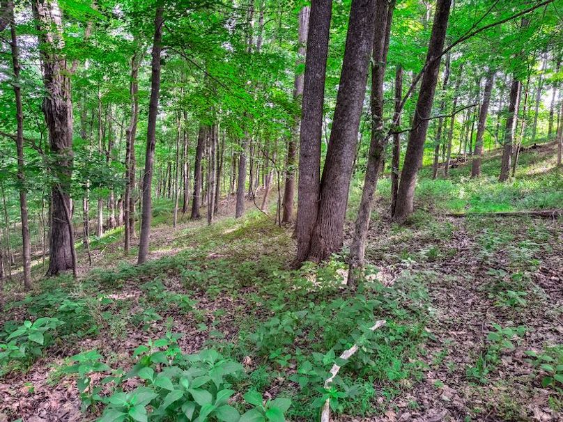 Roane, WV 512 AC White-252