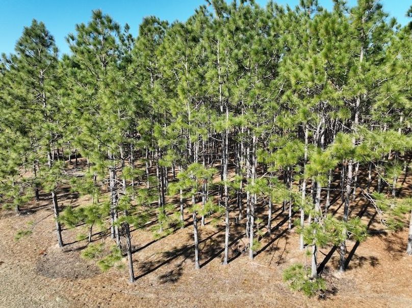 dji_fly_20240207_104258_59_1707320783957_photo