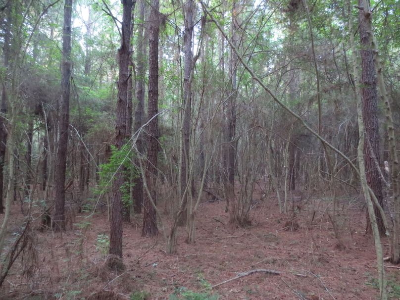 DF52FDEE-77A7-456F-B96A-750573D55DF7_1_105_c