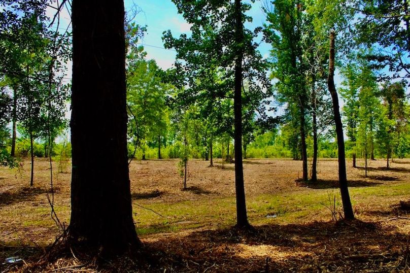 A42AB425-095F-4087-B00D-98FBC244464C_1_105_c