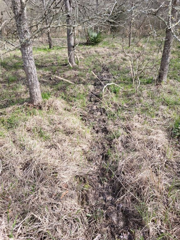 398E353E-7E03-4497-A063-A811D3D0C015