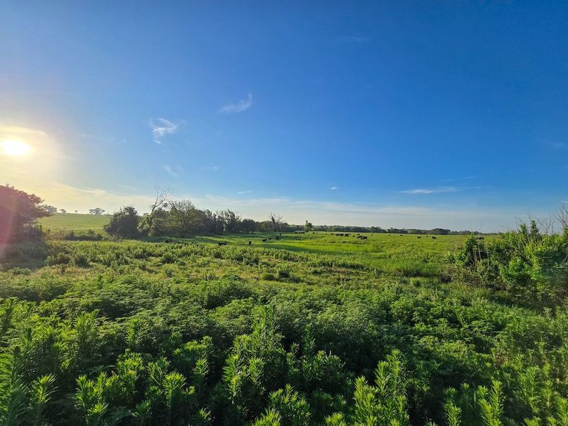 Copy of 20250625_070718