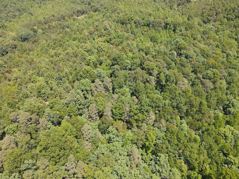 dji_fly_20260514_121332_803_1778778840101_photo