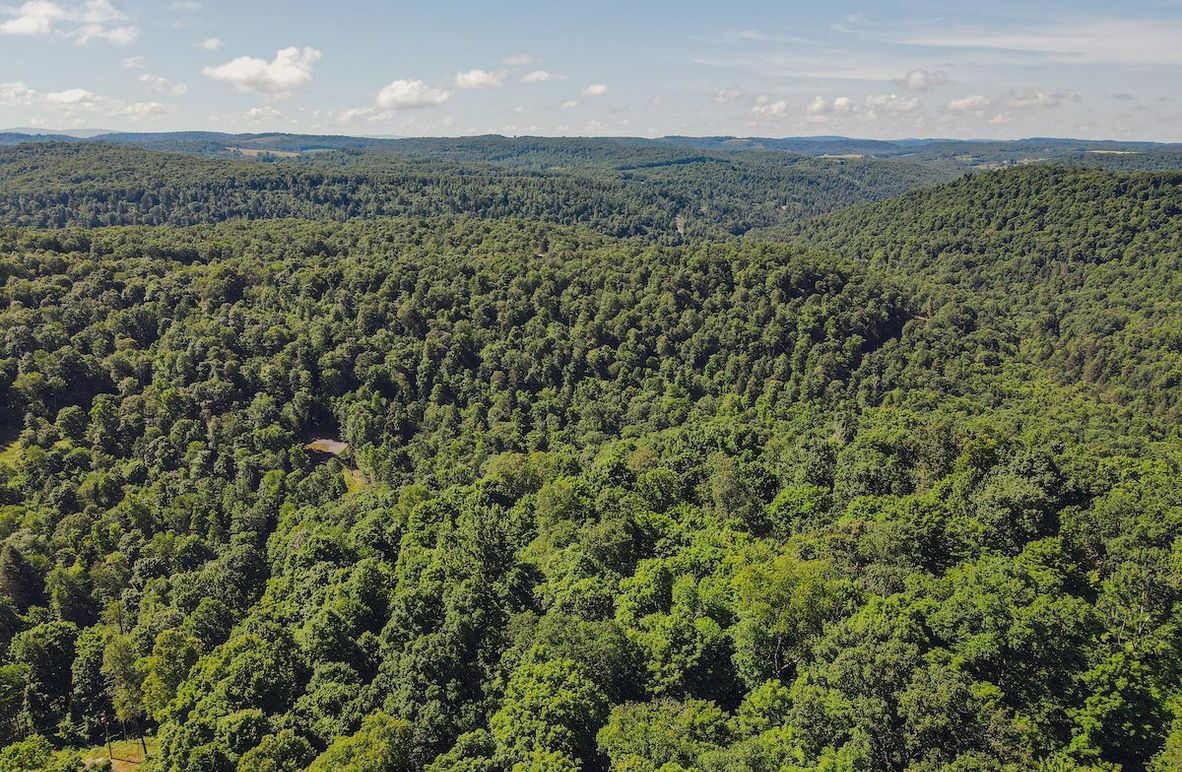 dji_fly_20240615_102224_755_1718461359299_photo