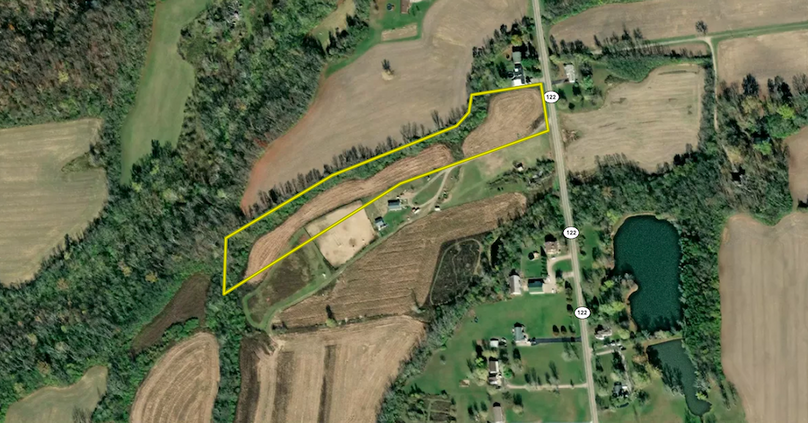 Screen Shot 2024-03-20 at 1.11.03 PM