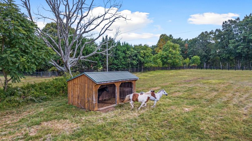 49-web-or-mls-DJI_0176