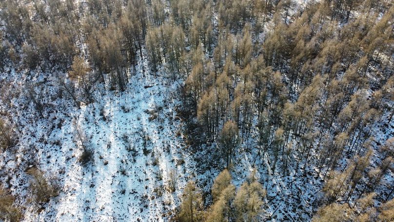 dji_fly_20240131_152908_918_1706897178491_photo_optimized