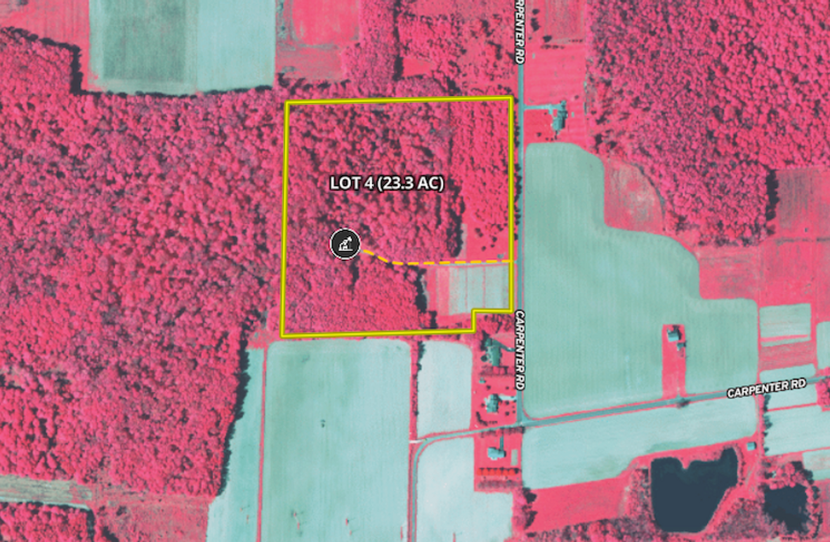 Screenshot 2026-02-12 at 10.57.03 AM