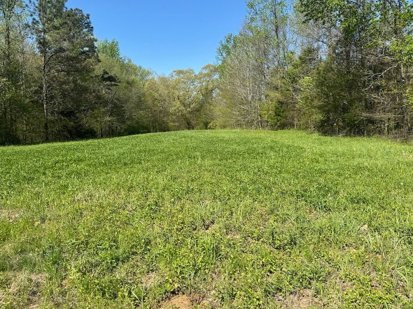 Clover plot