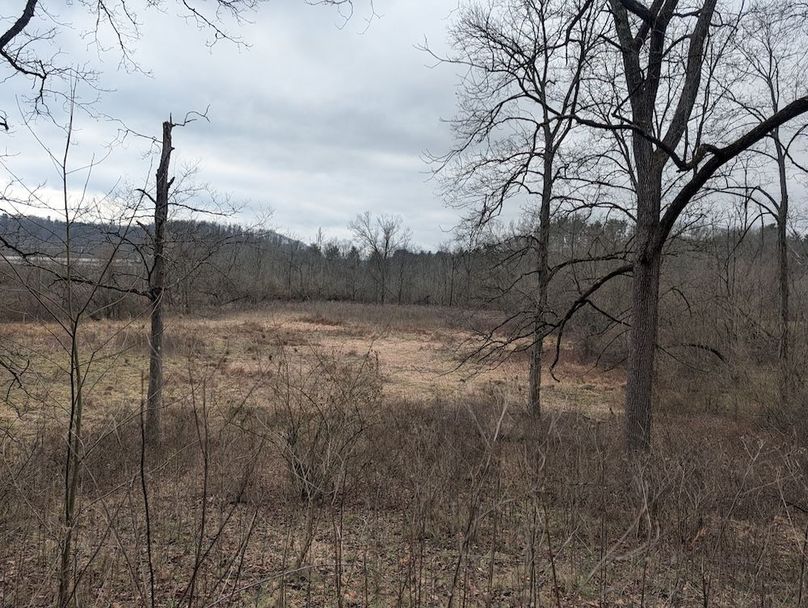 PXL_20260107_184017508