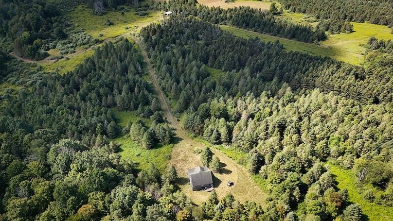 Tioga NY 232.62 Shores Photos 41