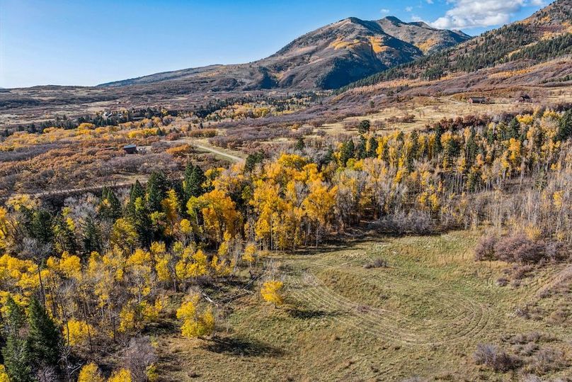 90-web-or-mls-125 Quaking Aspen Rd -90