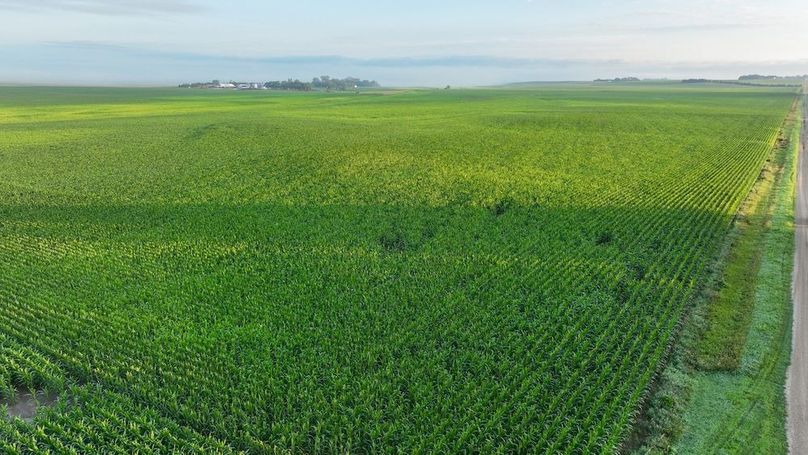 Copy of Copy of DJI_0359