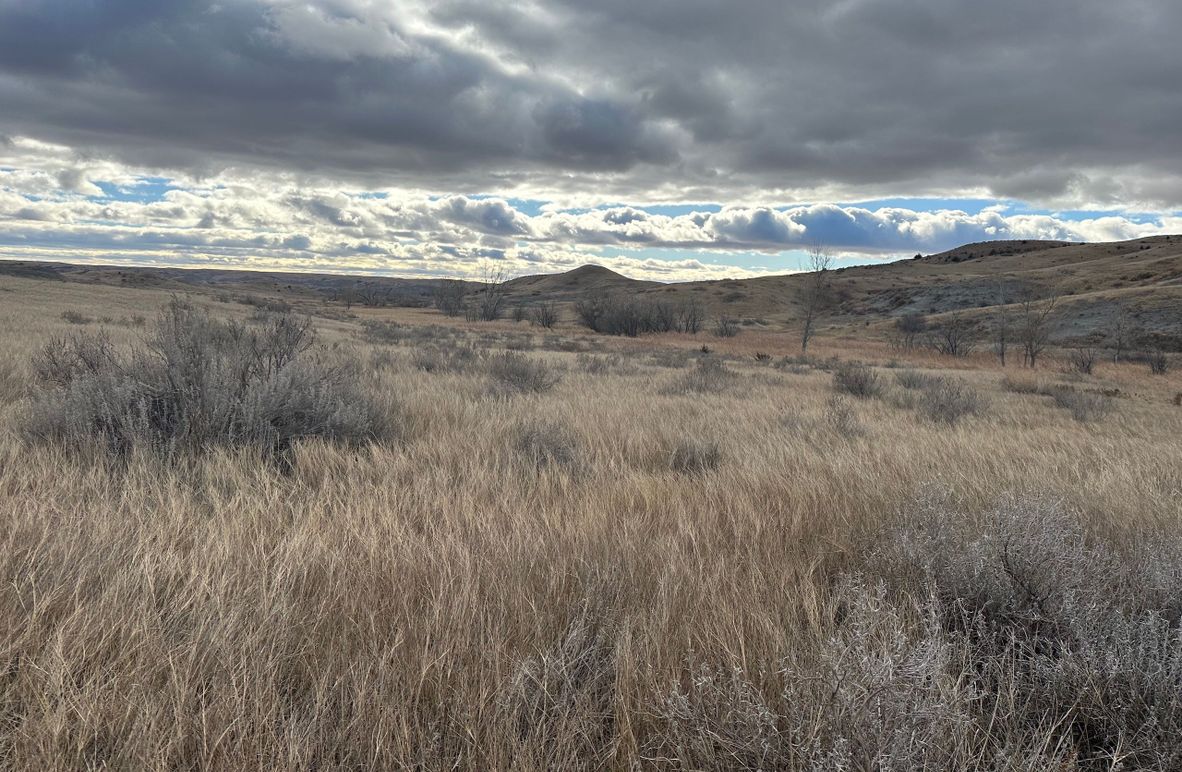 E1D69620-E43B-4207-9105-FFC8088FF999