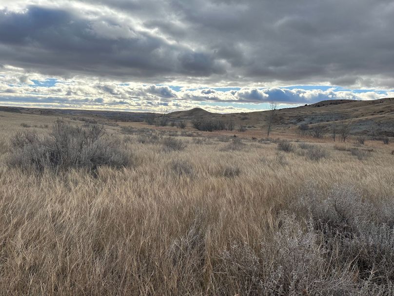 E1D69620-E43B-4207-9105-FFC8088FF999